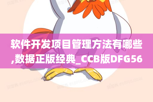 软件开发项目管理方法有哪些,数据正版经典_CCB版DFG56