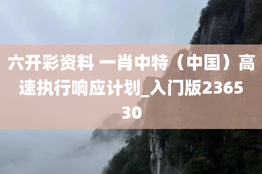 六开彩资料 一肖中特（中国）高速执行响应计划_入门版236530