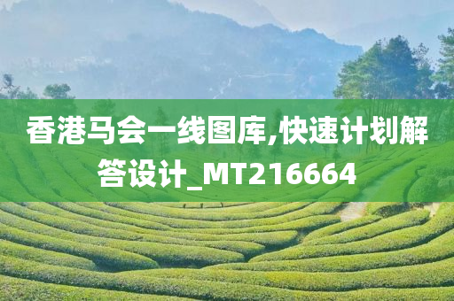 香港马会一线图库,快速计划解答设计_MT216664