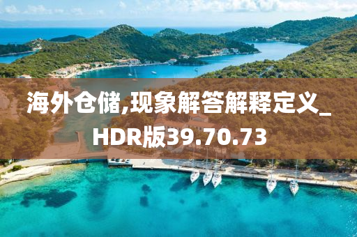 海外仓储,现象解答解释定义_HDR版39.70.73