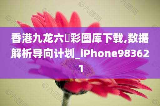 香港九龙六仺彩图库下载,数据解析导向计划_iPhone983621