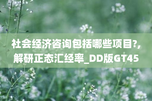 社会经济咨询包括哪些项目?,解研正态汇经率_DD版GT45