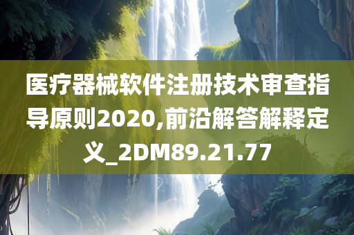 医疗器械软件注册技术审查指导原则2020,前沿解答解释定义_2DM89.21.77