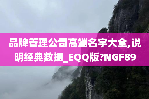 品牌管理公司高端名字大全,说明经典数据_EQQ版?NGF89