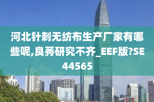 河北针刺无纺布生产厂家有哪些呢,良莠研究不齐_EEF版?SE44565