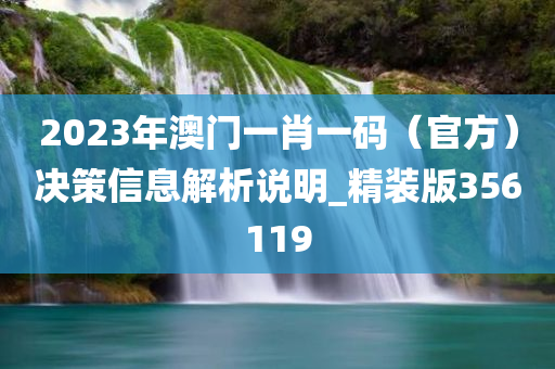 2023年澳门一肖一码（官方）决策信息解析说明_精装版356119