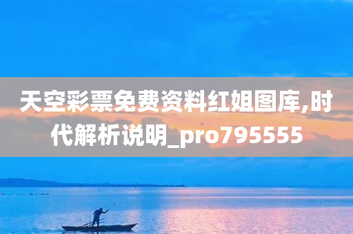 天空彩票免费资料红姐图库,时代解析说明_pro795555