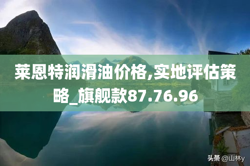 莱恩特润滑油价格,实地评估策略_旗舰款87.76.96