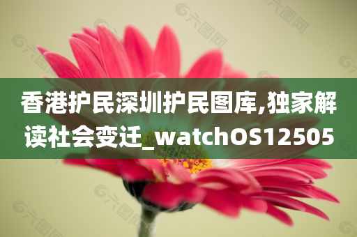 香港护民深圳护民图库,独家解读社会变迁_watchOS125050