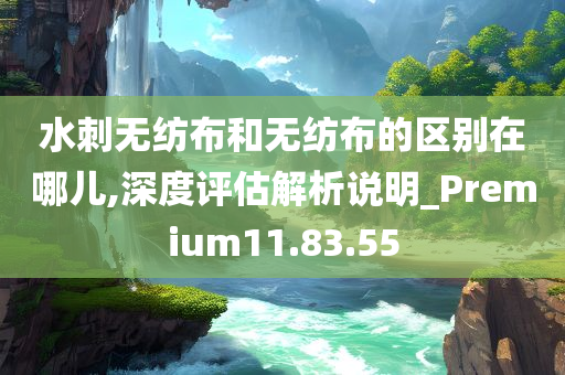 水刺无纺布和无纺布的区别在哪儿,深度评估解析说明_Premium11.83.55