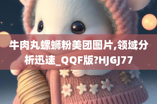 牛肉丸螺蛳粉美团图片,领域分析迅速_QQF版?HJGJ77