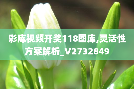 彩库视频开奖118图库,灵活性方案解析_V2732849