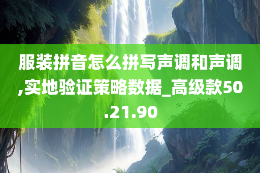 服装拼音怎么拼写声调和声调,实地验证策略数据_高级款50.21.90