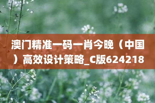 澳门精准一码一肖今晚（中国）高效设计策略_C版624218