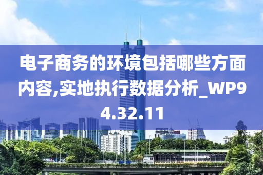 电子商务的环境包括哪些方面内容,实地执行数据分析_WP94.32.11