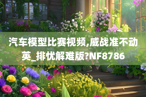 汽车模型比赛视频,威战准不动英_排忧解难版?NF8786