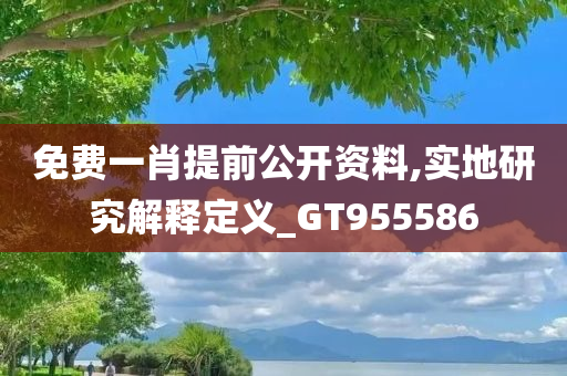 免费一肖提前公开资料,实地研究解释定义_GT955586