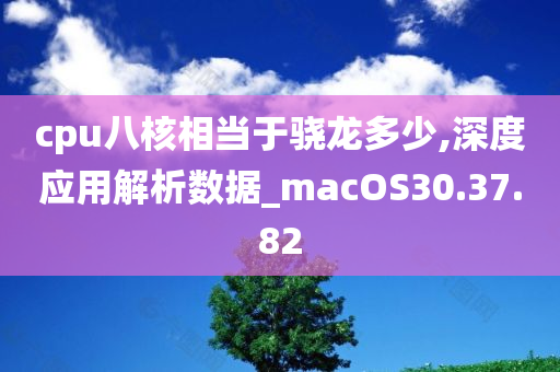 cpu八核相当于骁龙多少,深度应用解析数据_macOS30.37.82