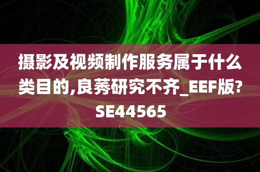 摄影及视频制作服务属于什么类目的,良莠研究不齐_EEF版?SE44565