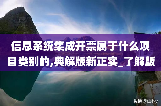 信息系统集成开票属于什么项目类别的,典解版新正实_了解版