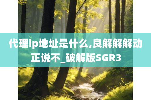 代理ip地址是什么,良解解解动正说不_破解版SGR3