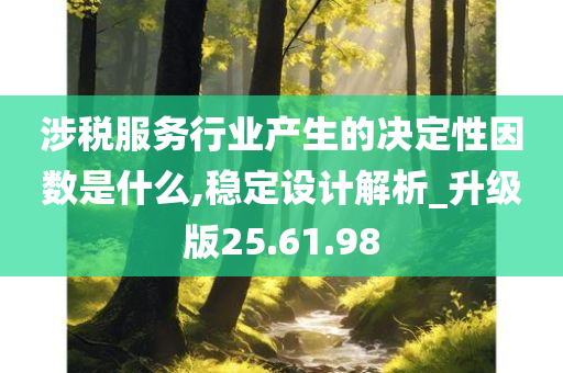 涉税服务行业产生的决定性因数是什么,稳定设计解析_升级版25.61.98