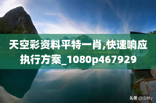 天空彩资料平特一肖,快速响应执行方案_1080p467929