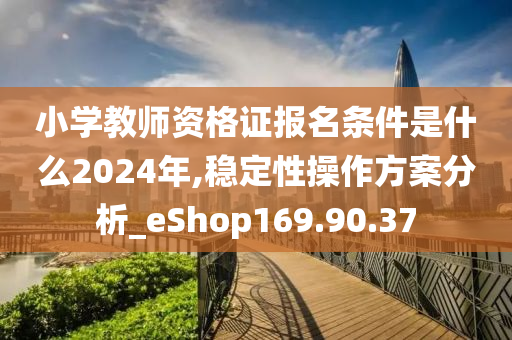 小学教师资格证报名条件是什么2024年,稳定性操作方案分析_eShop169.90.37