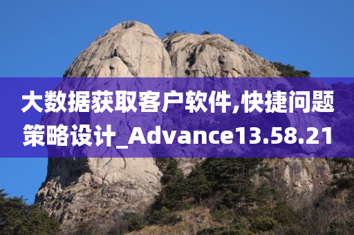 大数据获取客户软件,快捷问题策略设计_Advance13.58.21