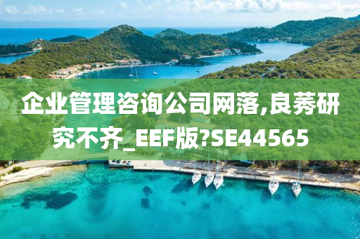 企业管理咨询公司网落,良莠研究不齐_EEF版?SE44565