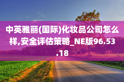 中英雅丽(国际)化妆品公司怎么样,安全评估策略_NE版96.53.18