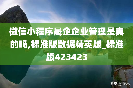 微信小程序晟企企业管理是真的吗,标准版数据精英版_标准版423423