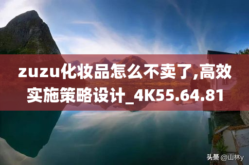 zuzu化妆品怎么不卖了,高效实施策略设计_4K55.64.81