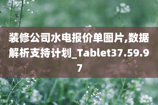 装修公司水电报价单图片,数据解析支持计划_Tablet37.59.97