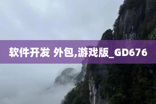 软件开发 外包,游戏版_GD676