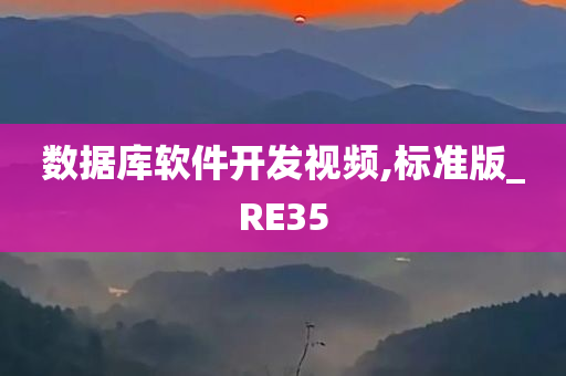 数据库软件开发视频,标准版_RE35