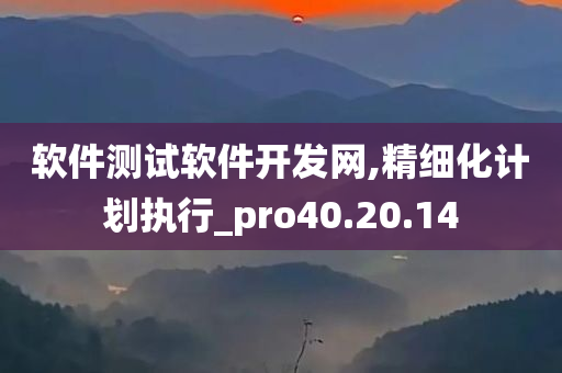 软件测试软件开发网,精细化计划执行_pro40.20.14