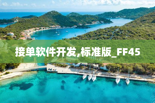 接单软件开发,标准版_FF45