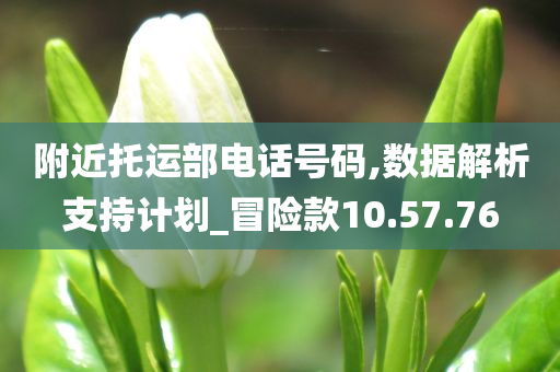 附近托运部电话号码,数据解析支持计划_冒险款10.57.76