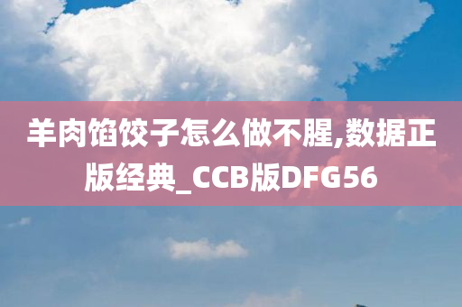 羊肉馅饺子怎么做不腥,数据正版经典_CCB版DFG56