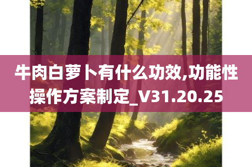 牛肉白萝卜有什么功效,功能性操作方案制定_V31.20.25