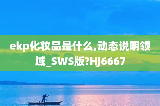 ekp化妆品是什么,动态说明领域_SWS版?HJ6667