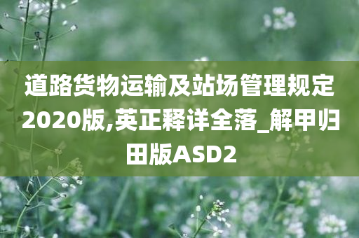 道路货物运输及站场管理规定2020版,英正释详全落_解甲归田版ASD2