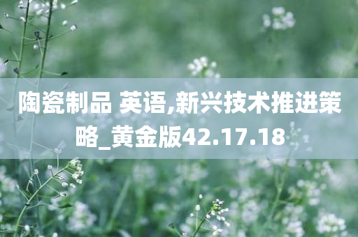 陶瓷制品 英语,新兴技术推进策略_黄金版42.17.18