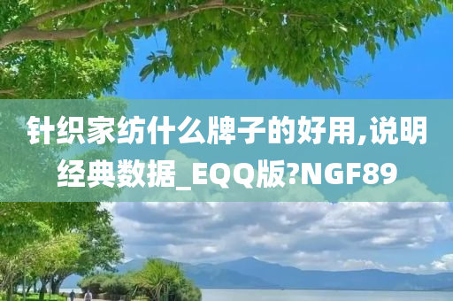 针织家纺什么牌子的好用,说明经典数据_EQQ版?NGF89