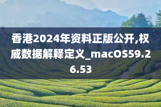 香港2024年资料正版公开,权威数据解释定义_macOS59.26.53