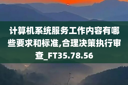 计算机系统服务工作内容有哪些要求和标准,合理决策执行审查_FT35.78.56