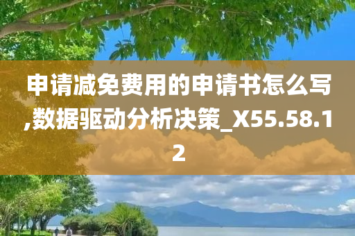 申请减免费用的申请书怎么写,数据驱动分析决策_X55.58.12