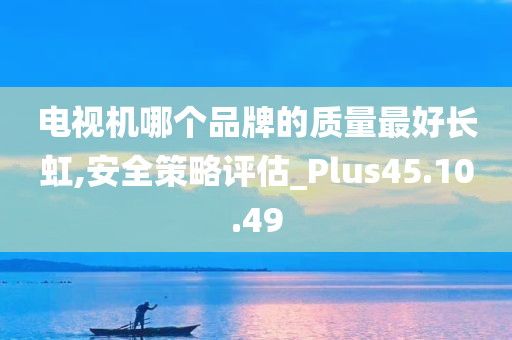 电视机哪个品牌的质量最好长虹,安全策略评估_Plus45.10.49