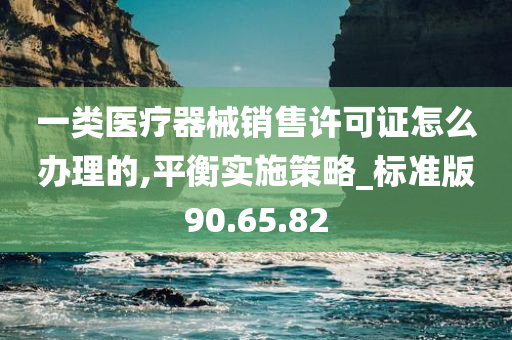 一类医疗器械销售许可证怎么办理的,平衡实施策略_标准版90.65.82